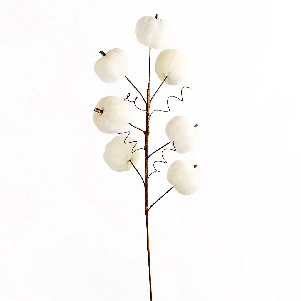 Velvet Pumpkin Stem Cream