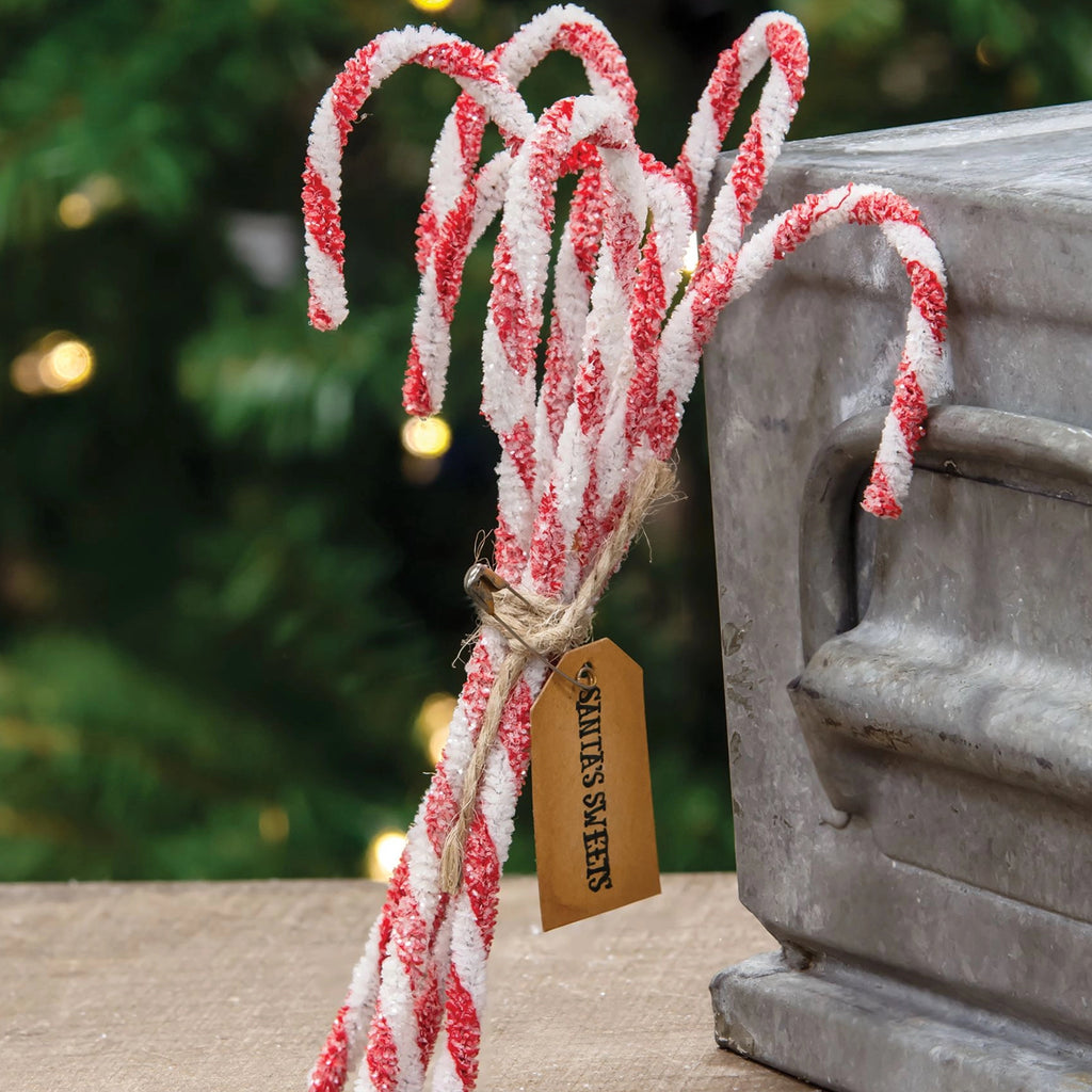 Sparkle Chenille Candy Canes 6/set