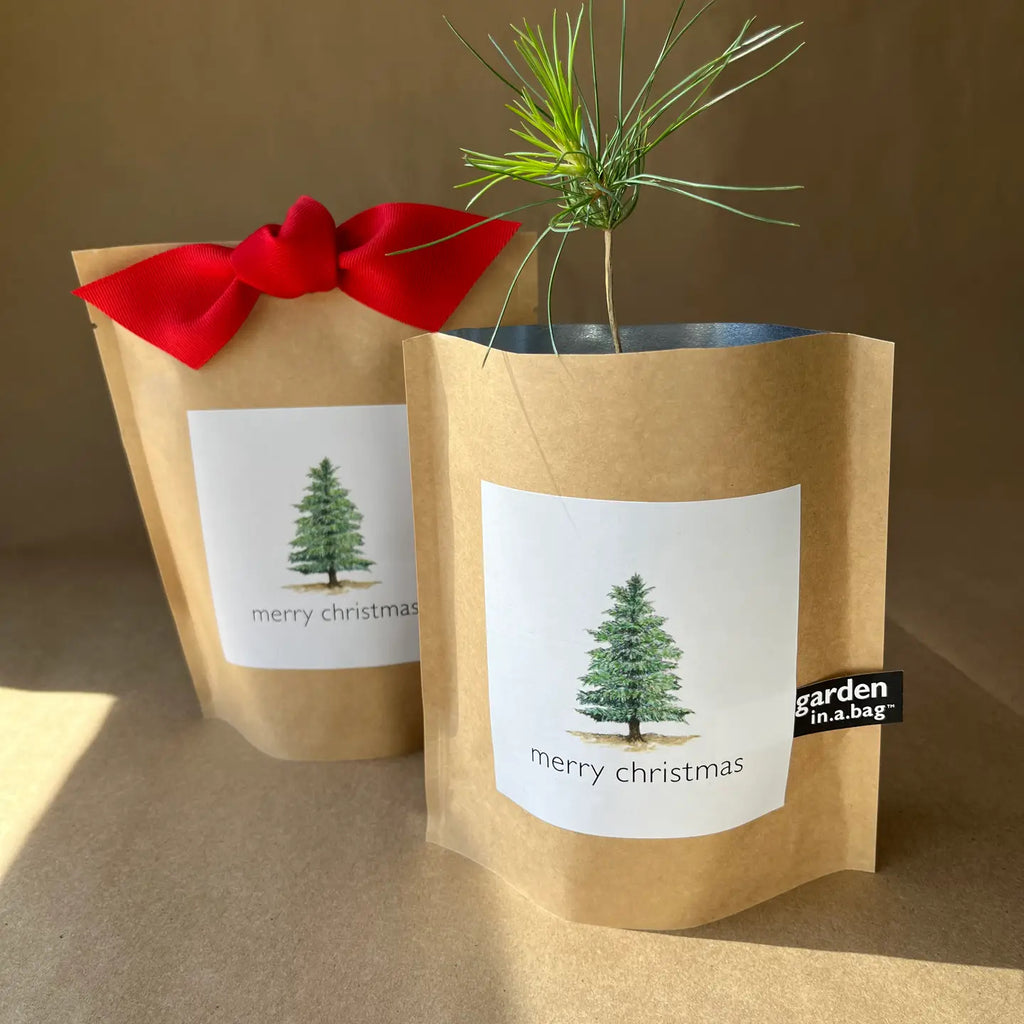 Garden in A Bag - Christmas Tree