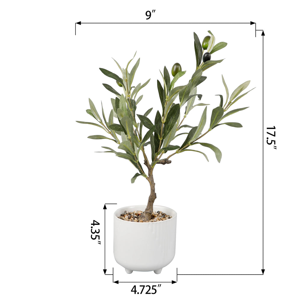 Olive Tree - 17"