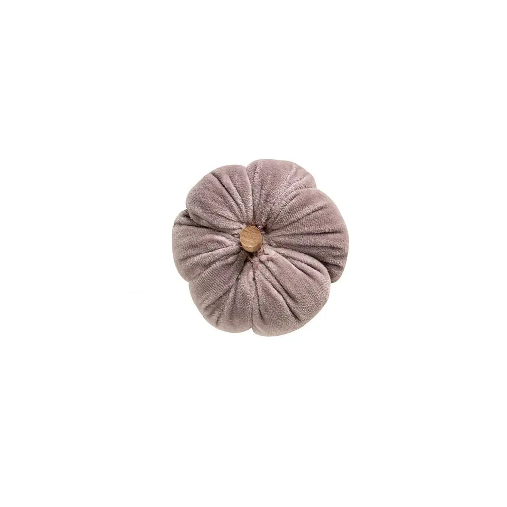 Ara Mini Pumpkin - Purple