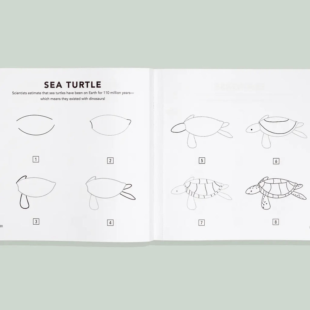 Under the Sea: A How To Draw Art Book For Kids | Palms, Psalms, & Prosecco