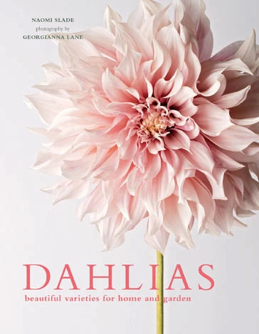 Dahlias; Beautiful Varieties For Home & Garden