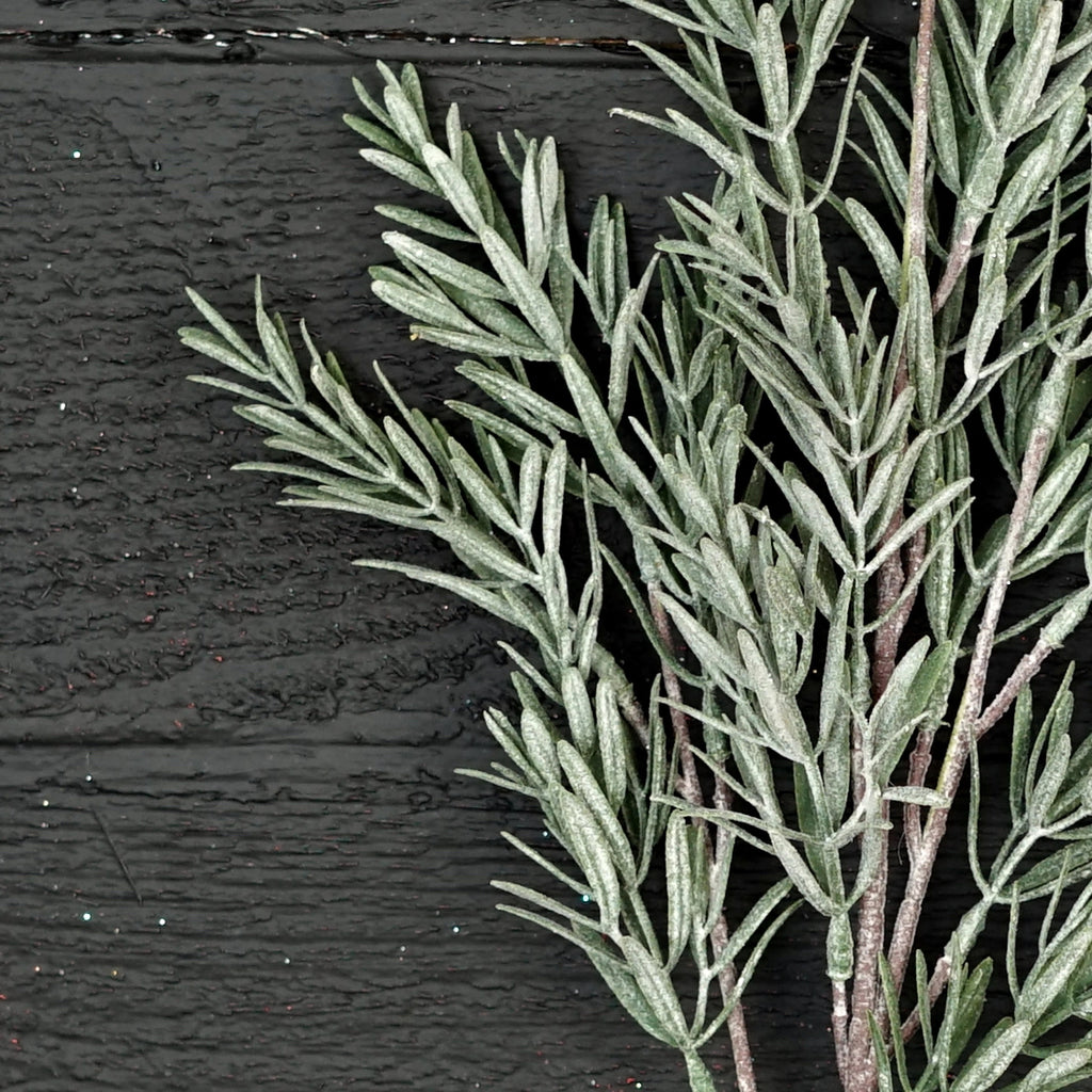 24" Frosted Rosemary Spray