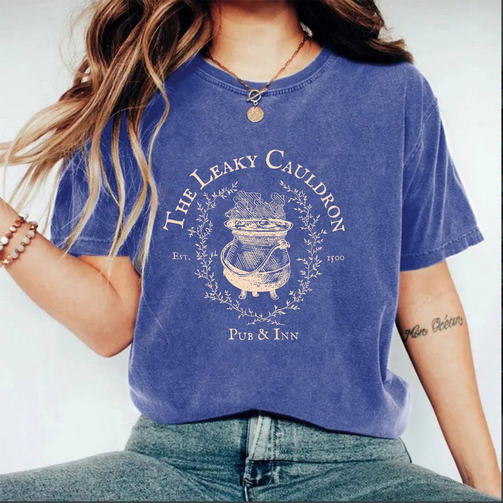 Leaky Cauldron Washed Tee