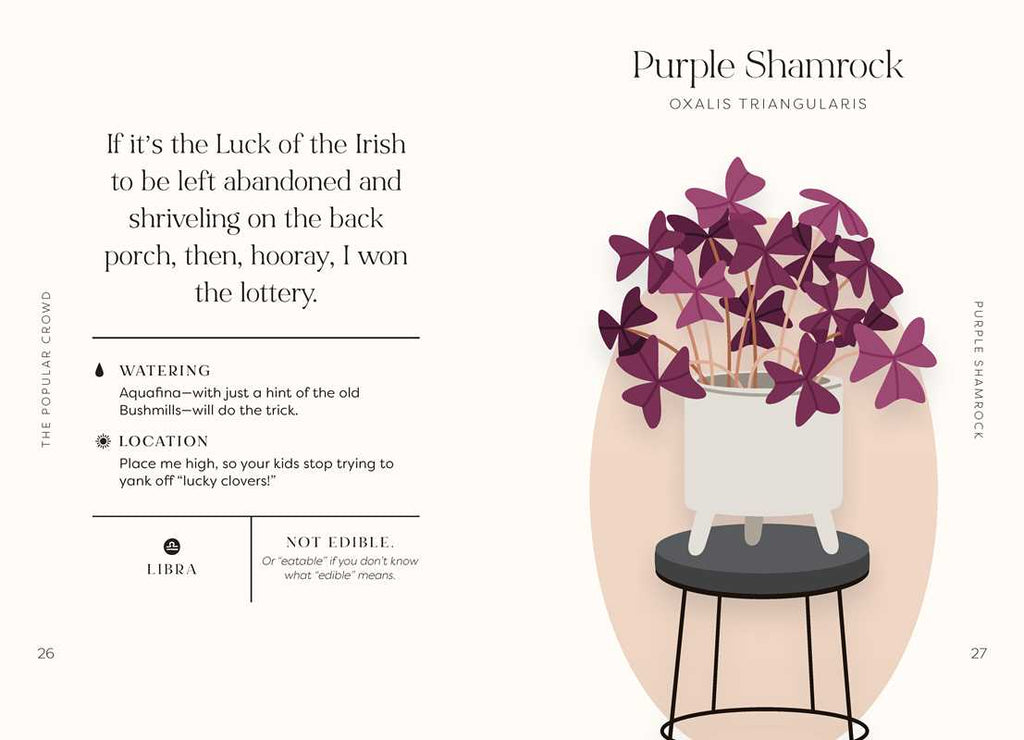 Houseplants and Their Fucked-Up Thoughts Book