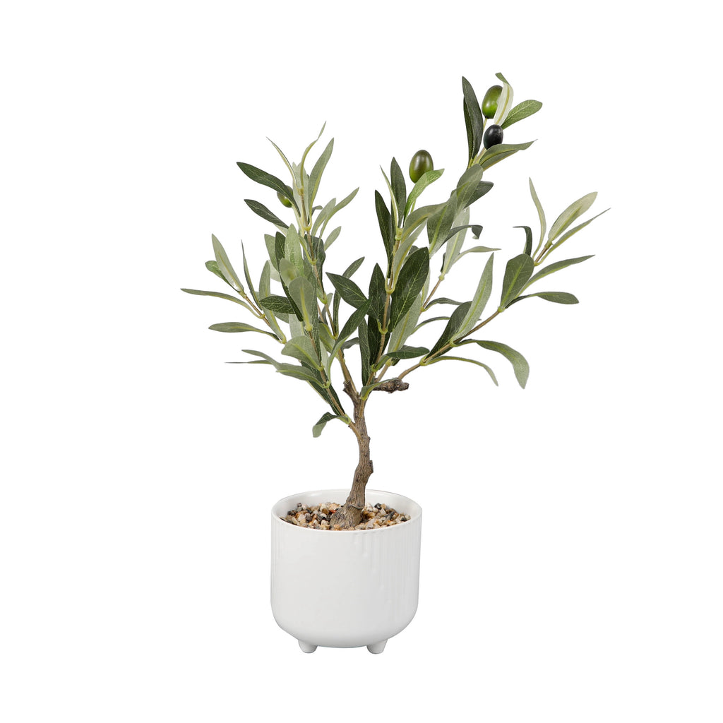 Olive Tree - 17"