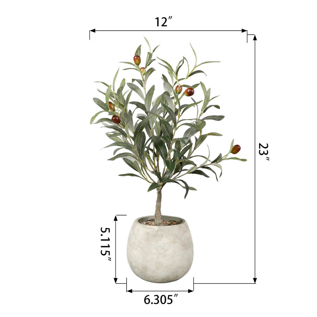 Olive Tree - 23"