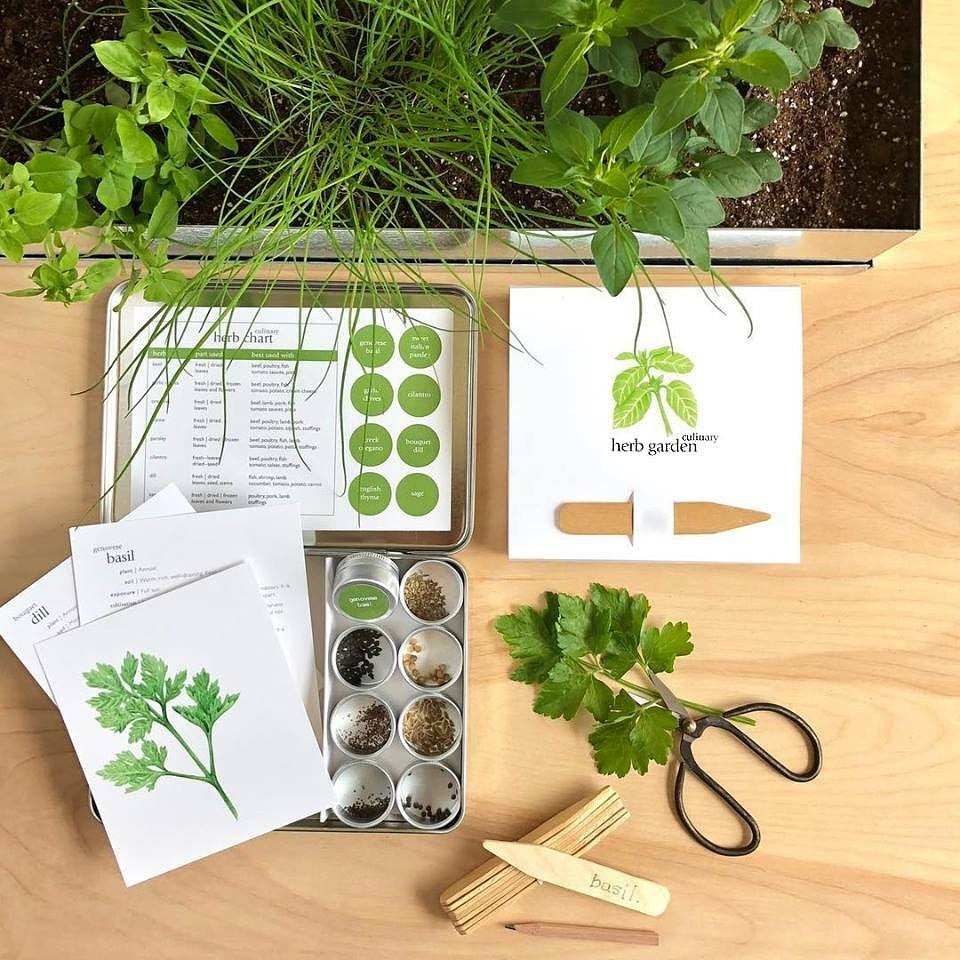 Culinary Herb Garden Kit