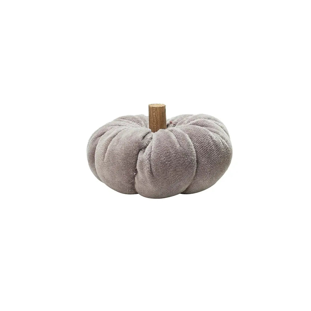 Ara Mini Pumpkin - Purple