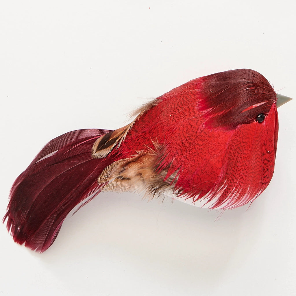 Feathered Red Bird Clip