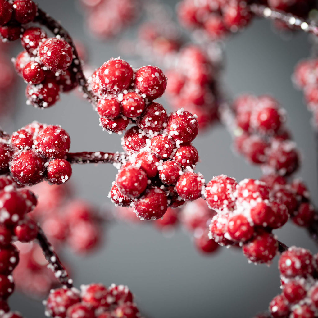 Frosted Berry Pick