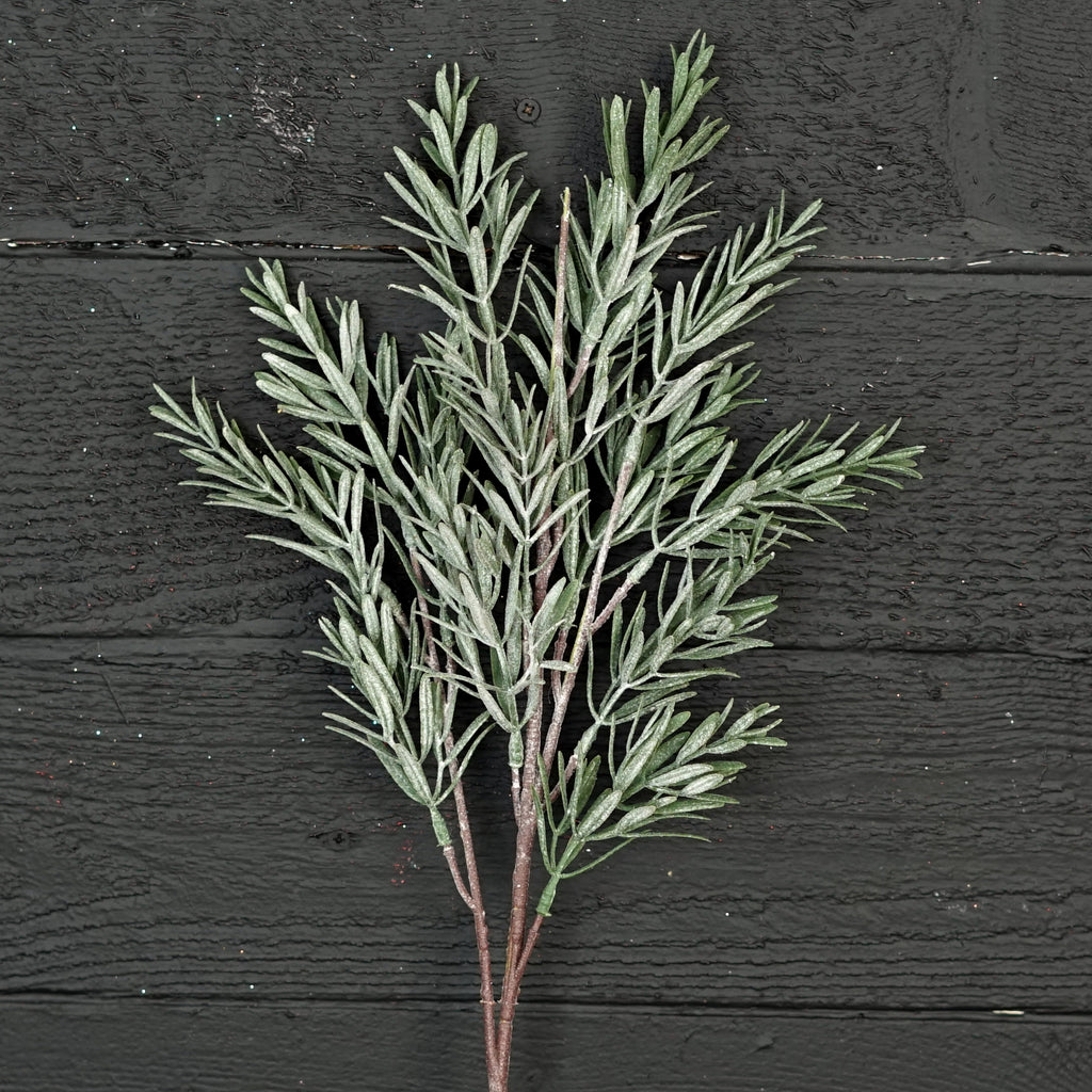 24" Frosted Rosemary Spray
