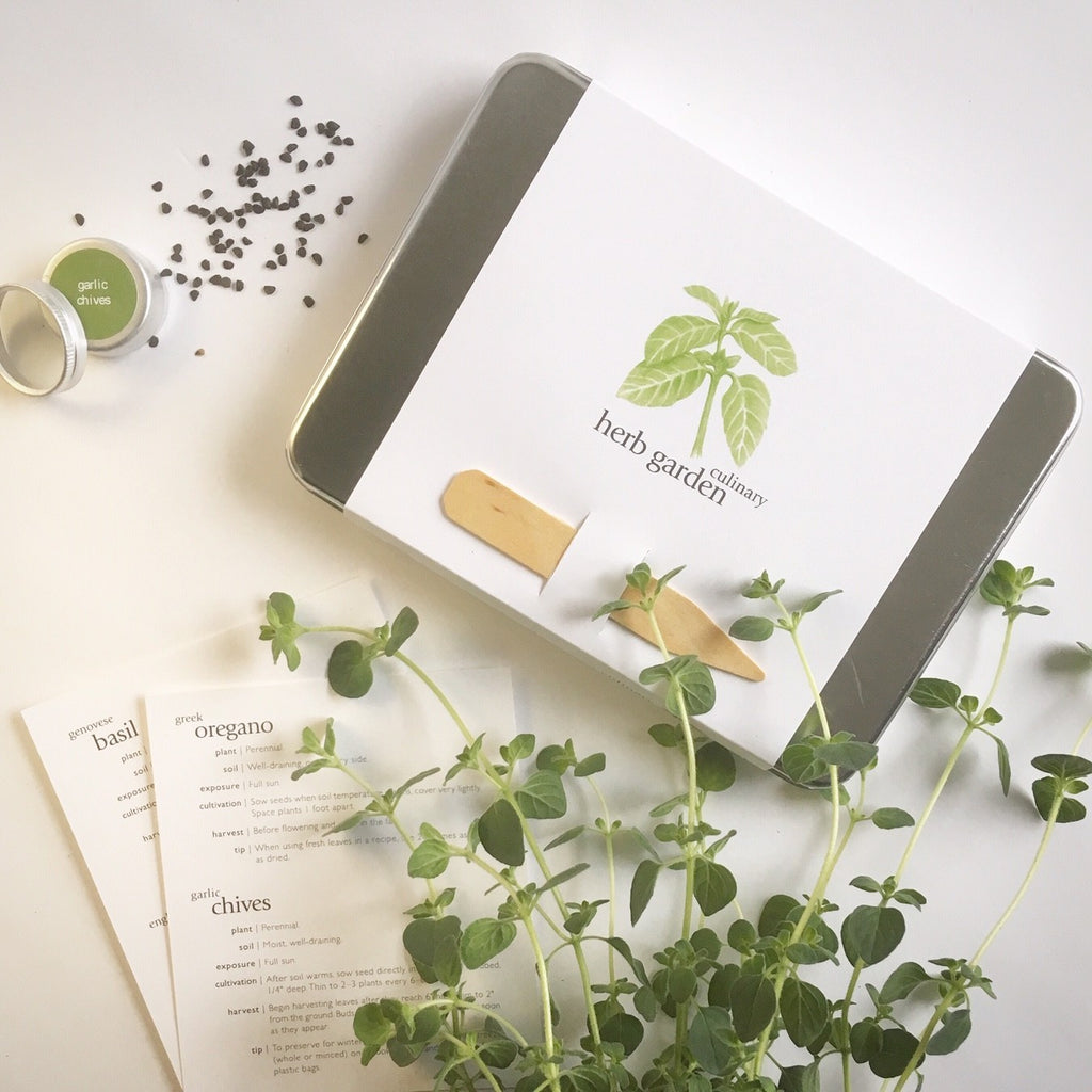 Culinary Herb Garden Kit