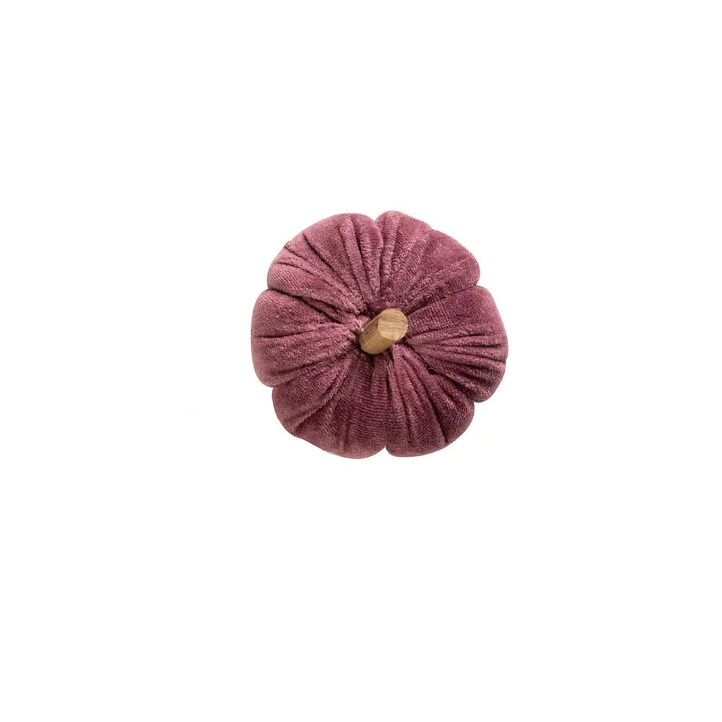 Ara Mini Pumpkin - Maroon