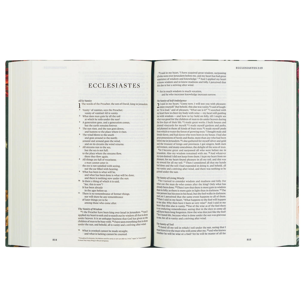 Esv Large Print Journaling Bible : Hollis Theme