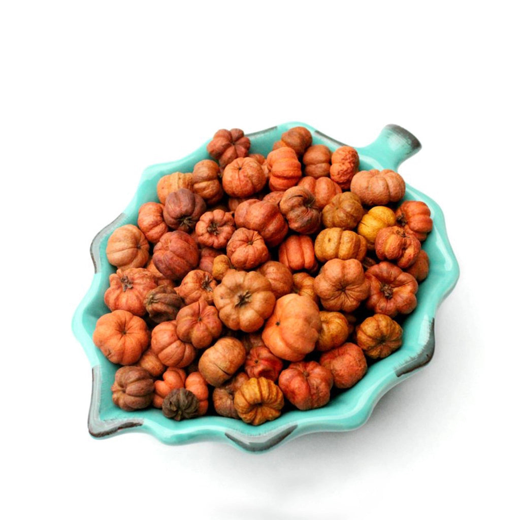 Fall Mini Pumpkin Potpourri