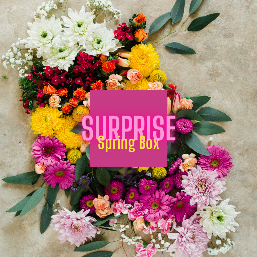 Surprise Spring Box